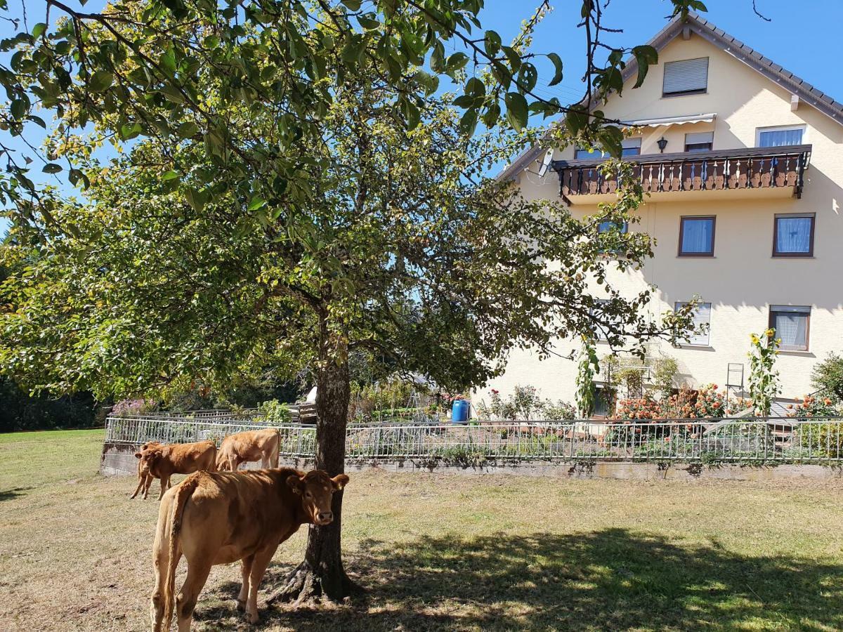 Chickenhill Blackforest, Grosse Ferienwohnung Im Schwarzwald バート・ヴィルトバート エクステリア 写真