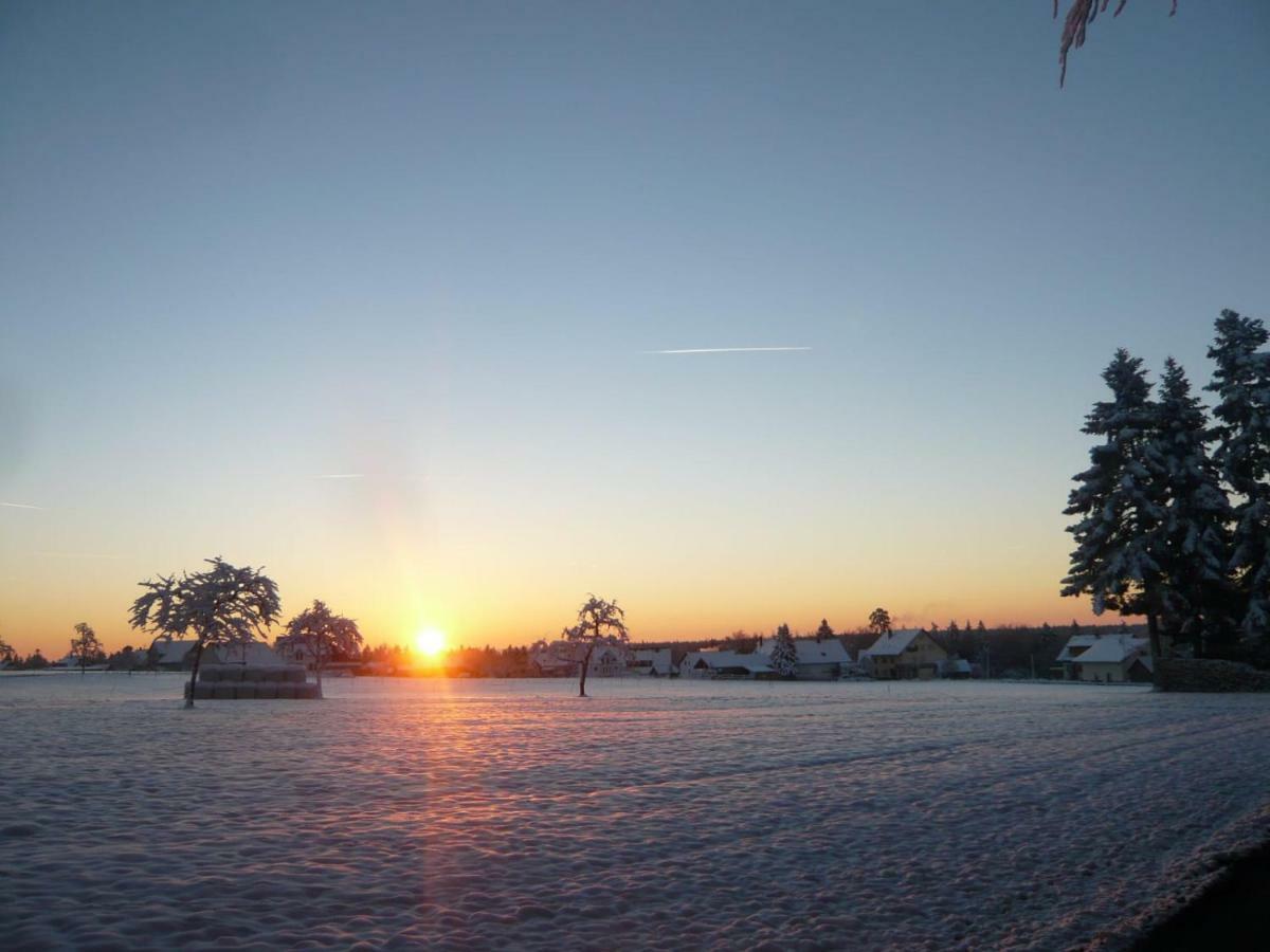 Chickenhill Blackforest, Grosse Ferienwohnung Im Schwarzwald バート・ヴィルトバート エクステリア 写真